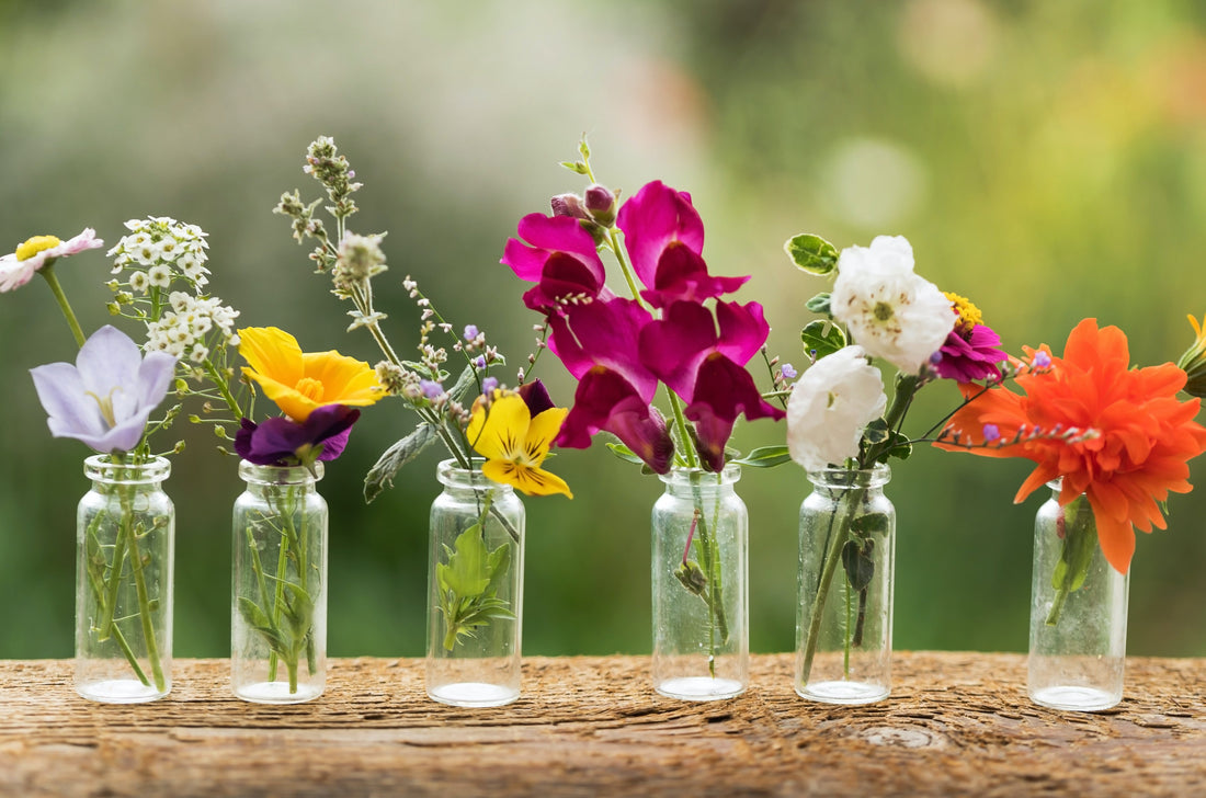 The Benefits of Rose Geranium Essential Oil